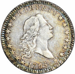Half Dollars, Flowing Hair 1795 1795 over 1795 Recut date, 3 leaves Overton 111 Obverse (1794 - 1795) Coin Value
