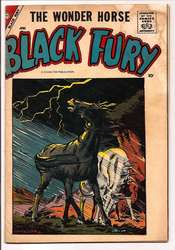 Black Fury #14 (1955 - 1966) Comic Book Value