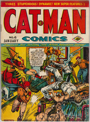 Catman Comics #6 (1941 - 1946) Comic Book Value