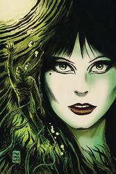 Elvira: The Shape of Elvira #2 Francavilla 1:10 Virgin Variant (2018 - 2019) Comic Book Value