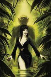 Elvira: The Shape of Elvira #3 Francavilla 1:10 Virgin Variant (2018 - 2019) Comic Book Value