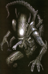Alien #1 Lee 1:500 Virgin Variant (2021 - 2022) Comic Book Value