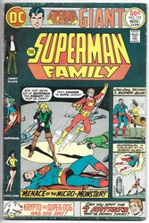 Superman Family, The #173 (1974 - 1982) Comic Book Value